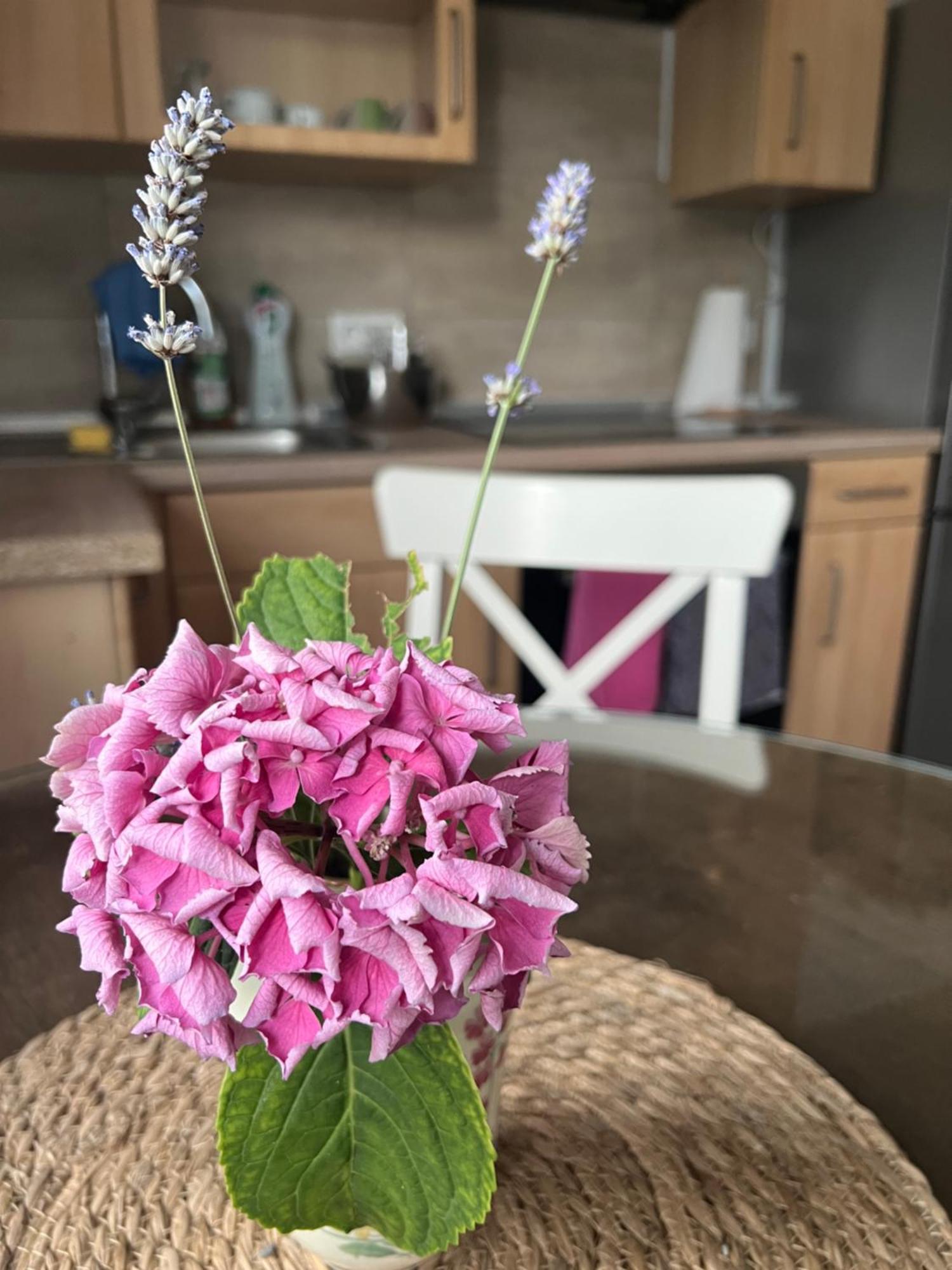 Auszeit Im Pott - Ferienwohnung Lavendel Herten  Exterior photo